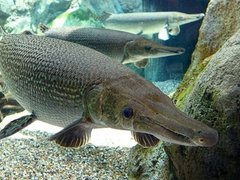 Đọc nhanh bài viết 1030240