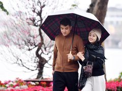 Đọc nhanh bài viết 1030265