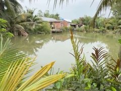 Đọc nhanh bài viết 1030268