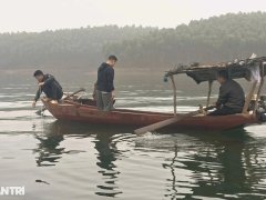 Đọc nhanh bài viết 1030271