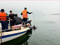 Đọc nhanh bài viết 1030302