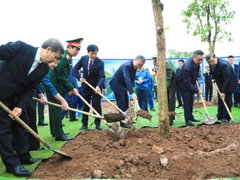 Đọc nhanh bài viết 1030304