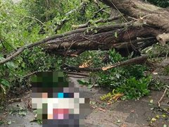 Đọc nhanh bài viết 1030543