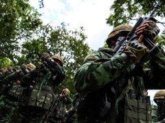 Đọc nhanh bài viết 1030544