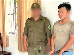 Đọc nhanh bài viết 1030650