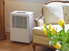 Đọc nhanh bài viết 1030748