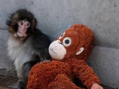 Đọc nhanh bài viết 1030758