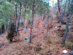 Đọc nhanh bài viết 1030872