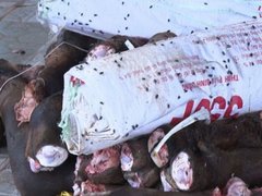 Đọc nhanh bài viết 1030920