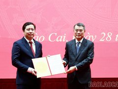 Đọc nhanh bài viết 1030997