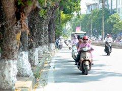 Đọc nhanh bài viết 1031121