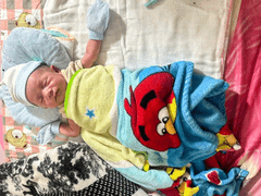 Đọc nhanh bài viết 1031242