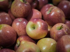 Đọc nhanh bài viết 1031358