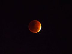 Đọc nhanh bài viết 1031368