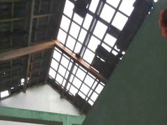 Đọc nhanh bài viết 1031384