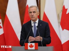 Đọc nhanh bài viết 1031416