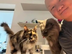 Đọc nhanh bài viết 1031444