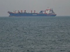 Đọc nhanh bài viết 1031463