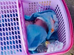 Đọc nhanh bài viết 1031490