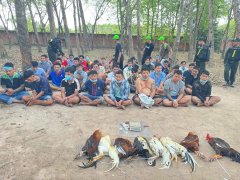 Đọc nhanh bài viết 1031494