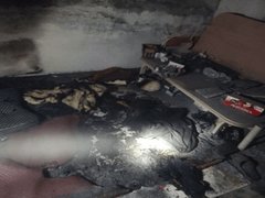 Đọc nhanh bài viết 1031529