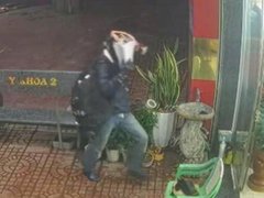 Đọc nhanh bài viết 1031642