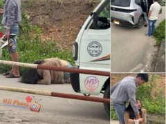 Đọc nhanh bài viết 1031873