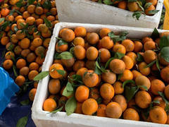 Đọc nhanh bài viết 1031883