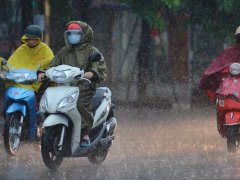 Đọc nhanh bài viết 1031890