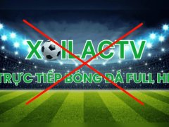 Đọc nhanh bài viết 1031893