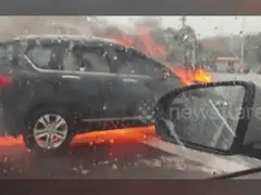 Đọc nhanh bài viết 1031977