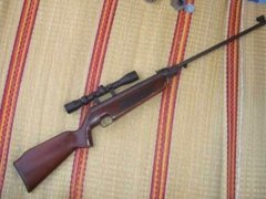 Đọc nhanh bài viết 1032007