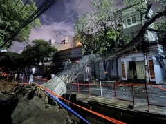 Đọc nhanh bài viết 1032009