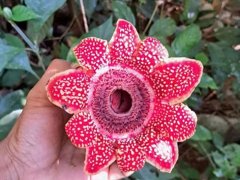 Đọc nhanh bài viết 1032037