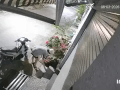 Đọc nhanh bài viết 1032042