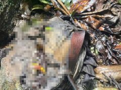 Đọc nhanh bài viết 1032117