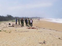 Đọc nhanh bài viết 1032121