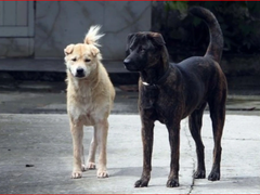 Đọc nhanh bài viết 1032172