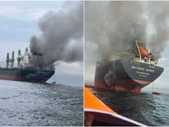 Đọc nhanh bài viết 1032267