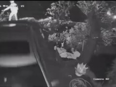 Đọc nhanh bài viết 1032309