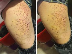 Đọc nhanh bài viết 1032319