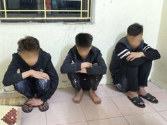 Đọc nhanh bài viết 1032340