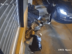 Đọc nhanh bài viết 1032451