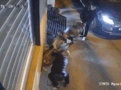 Đọc nhanh bài viết 1032466