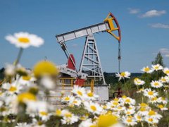 Đọc nhanh bài viết 1032542