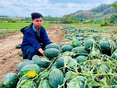 Đọc nhanh bài viết 1032598