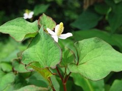 Đọc nhanh bài viết 1032610