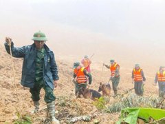 Đọc nhanh bài viết 1032736