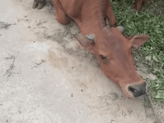 Đọc nhanh bài viết 1032818