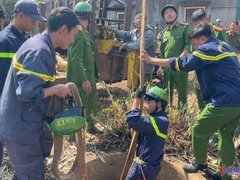 Đọc nhanh bài viết 1032875